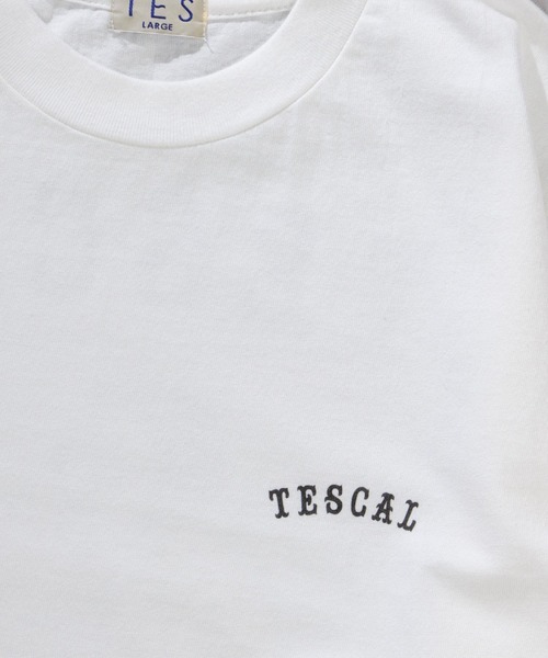 The Endless Summer(エンドレスサマー)の「TES MALIBU STAR LONG SLEEVE T-SHIRT / ロンT(Tシャツ/カットソー・メンズ・ミント/ホワイト・X-LARGE/LARGE/MEDIUM/SMALL)」の3枚目の写真