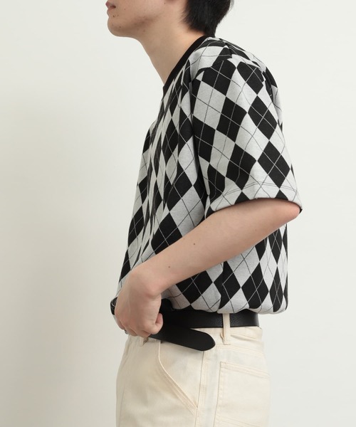 SENSE OF PLACE by URBAN RESEARCH(センスオブプレイスバイアーバンリサーチ)の「アーガイルジャガードTシャツ(5分袖)(Tシャツ/カットソー・メンズ・その他1/その他2/その他3・MEDIUM/LARGE)」の6枚目の写真