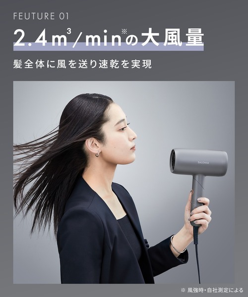 SALONIA スムースシャインドライヤー ヘアドライヤー SAL23209GR SALONIA サロニア スムースシャインドライヤー 大風量 速乾（美容器具