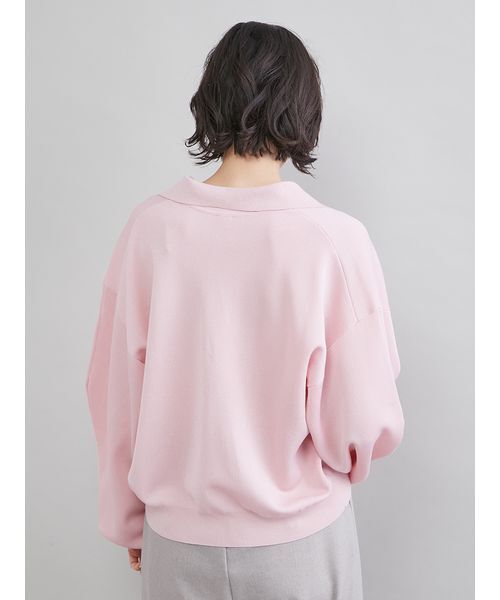 Mila Owen(ミラオーウェン)の「シアーポロニット(ニット/セーター・レディース・ライトブルー/アイボリー/ピンク/ネイビー・F)」の7枚目の写真