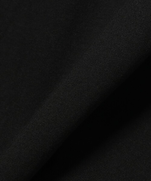 BEAMS T(ビームスティー)の「RAREMETAL / BLUE PET Tee(Tシャツ/カットソー・メンズ・ブラック・LARGE/X-LARGE/MEDIUM)」の7枚目の写真