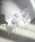 utatane�i�E�^�^�l�j�́u������ �S��U�s��2�{�Z�b�g ���{���i�a�������j�v�b�V���o�[