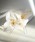 utatane�i�E�^�^�l�j�́u������ �S��U�s��2�{�Z�b�g ���{���i�a�������j�v�b�S�[���h