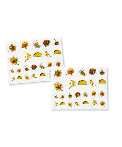 MEDE19F（メデジュウキュウ）の「ＭＥＤＥ１９Ｆ　ゴッホの世界をまとうネイルシール（ネイルシール/ネイルチップ・レディース・グリーン×ピンク/イエロー/ブルー・ONE SIZE）」の8枚目の写真