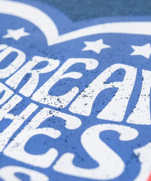 ALDIES（アールディーズ）の「DDC Half Sleeve T / ディーディーシーハーフスリーブT（Tシャツ/カットソー・メンズ・ブラック/マルチ/ホワイト・MEDIUM/LARGE/SMALL）」の6枚目の写真