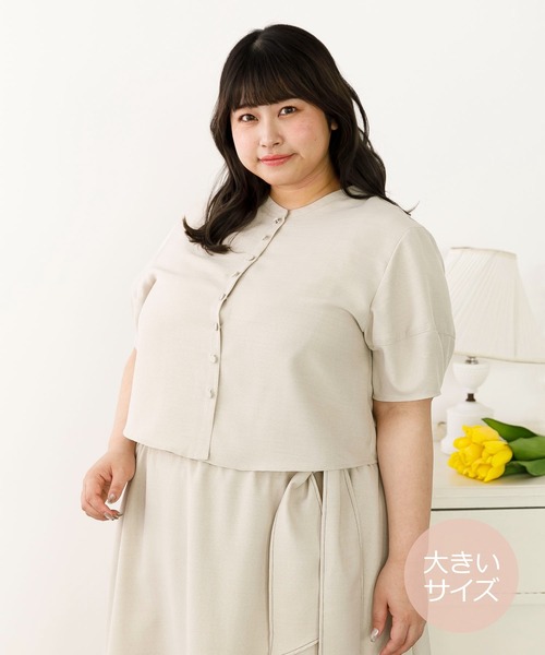 SLURR(スラ―)の「【大きいサイズ】バンドカラーショート丈ブラウス(シャツ/ブラウス・レディース・ブラック/ベージュ/モカ・L)」の3枚目の写真