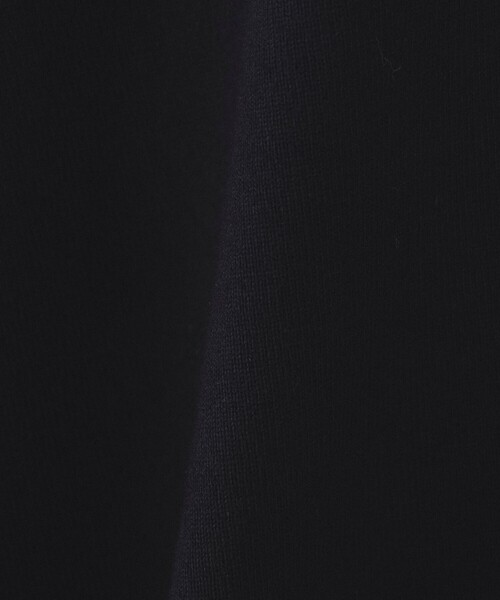 LACOSTE(ラコステ)の「LACOSTE for BEAMS / 別注 アーカイブロゴ Tシャツ(Tシャツ/カットソー・メンズ・ブラック/オリーブ/ホワイト/ネイビー・1/2/3/4/5)」の5枚目の写真