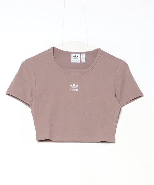 【日本未入荷】バレエコアadidasリボン　リブロゴクロップドTシャツ 日本未入荷】バレエコアadidasリボンロゴクロップドTシャツ