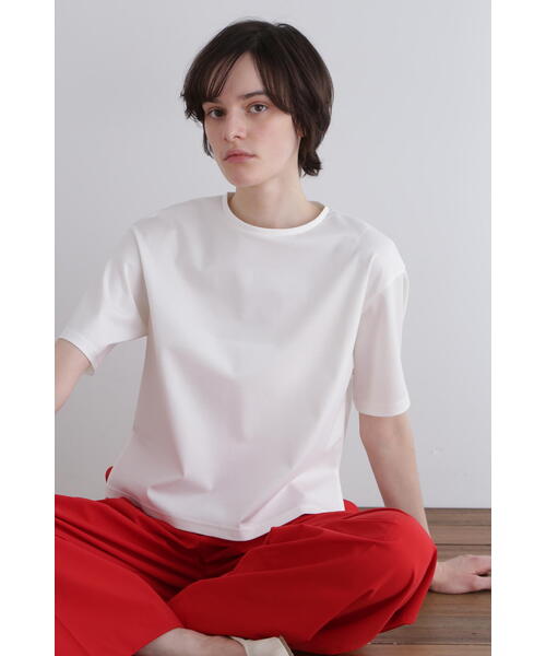 パーフェクトTコンパクトポンチ（Tシャツ/カットソー）｜LE PHIL