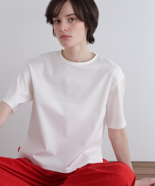 パーフェクトTコンパクトポンチ（Tシャツ/カットソー）｜LE PHIL