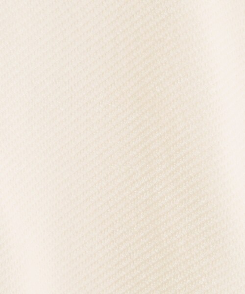 ITS'DEMO（イッツデモ）の「【手洗い可／セットアップ可】カットツイルプルオーバー（Tシャツ/カットソー・レディース・アイボリー/ブラック/ナチュラル/ダークブラウン・00）」の8枚目の写真