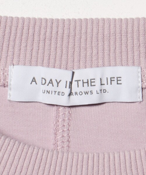 A DAY IN THE LIFE UNITED ARROWS(アデイインザライフユナイテッドアローズ)の「ダンボールニット クルーネック プルオーバー <A DAY IN THE LIFE>(スウェット・レディース・ライトピンク/オフホワイト/グレー系・FREE)」の19枚目の写真