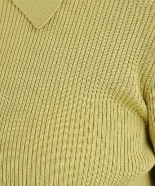 N.(N. Natural Beauty Basic)(エヌエヌナチュラルビューティーベーシック)の「ポロカラーリブニット(ニット/セーター・レディース・オフホワイト/ブルー/グリーン/チャコールグレー・フリ-)」の14枚目の写真