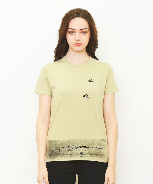 10780円新品♡スコットクラブ購入 フェンネル デザインTシャツ Design Tshirts Store graniph（デザイン ティーシャツ ストア