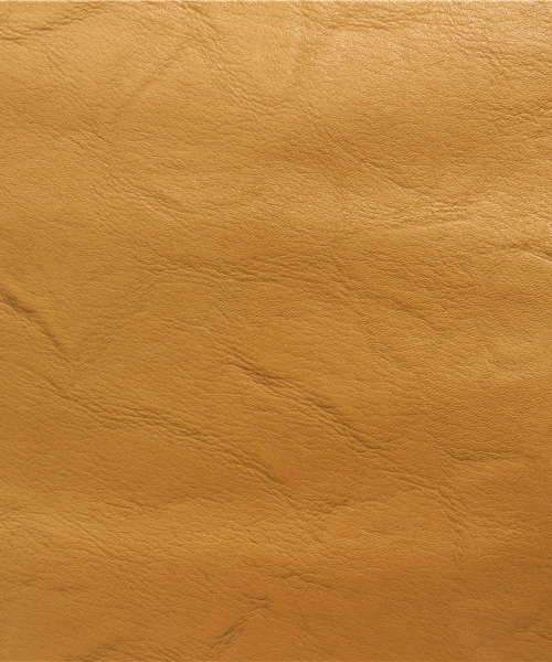 CIAOPANIC(チャオパニック)の「【Ciaopanic】2WAYクラッチショルダーBAG(クラッチバッグ・レディース・ブラック/キャメル/ブラウン・FREE)」の14枚目の写真