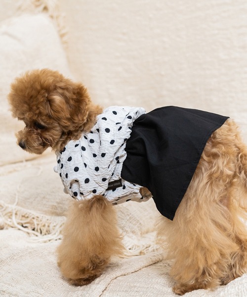 Toyome(トヨミー)の「【飼い主と犬服のペアルックセット】ドット柄ブラウス×スカート ワンピース(ペットウェア・レディース・ミント/ブラック/ベージュ・M/XXS/L/S/SS)」の8枚目の写真
