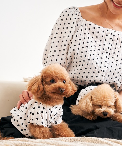Toyome(トヨミー)の「【飼い主と犬服のペアルックセット】ドット柄ブラウス×スカート ワンピース(ペットウェア・レディース・ミント/ブラック/ベージュ・M/XXS/L/S/SS)」の16枚目の写真