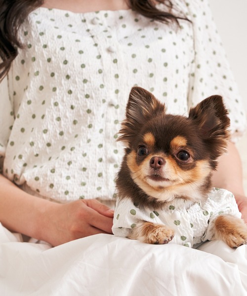 犬服♪手編み♪　専用です　カシミヤうさみみペアロンパース(M&Lサイズ) 犬服♪手編み♪ 専用です カシミヤうさみみペアロンパース(M&L