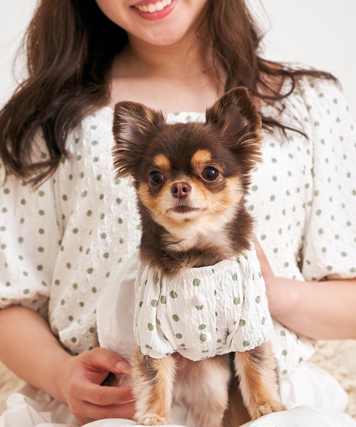 犬服 SS わんこの普段着　ブラウンローズ 犬服 SS わんこの普段着 ブラウンローズ 犬服 SS わんこの普段着