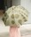 392 plusmiTL[jvXGj́uy392plusmz UMBRELLA LONG 60cm PiPjvbJ[L