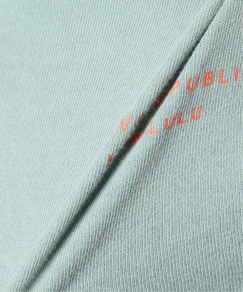 SALVAGE PUBLIC(サルベージパブリック)の「【SALVAGE PUBLIC/サルベージパブリック×JS】別注 ピグメント Tシャツ“SHAK”(Tシャツ/カットソー・メンズ・アイボリー/サファリグリーン・MEDIUM/LARGE)」の11枚目の写真