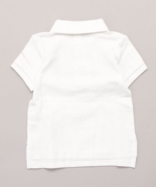 Polo ベア コットン メッシュ ポロシャツ