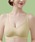 Lace Ladiesi[XfB[Xj́uy2gz[tXJbvRtH[guiiCgujvbCG[