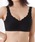 Lace Ladiesi[XfB[Xj́uy2gz[tXJbvRtH[guiiCgujvbubN
