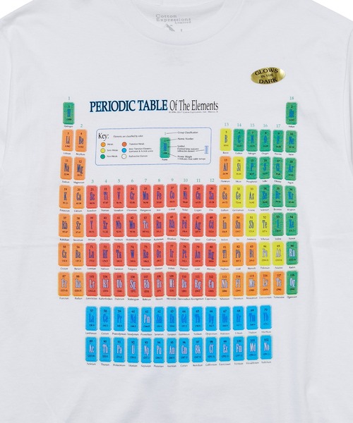 トップス Cotton Expressions Limited PLANET Tee COTTON EXPRESSIONS コットンエクスプレッションズ SUNDAYS BEST