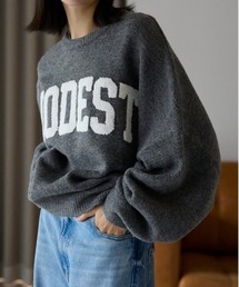 サガラ刺繍ロゴニットプルオーバー