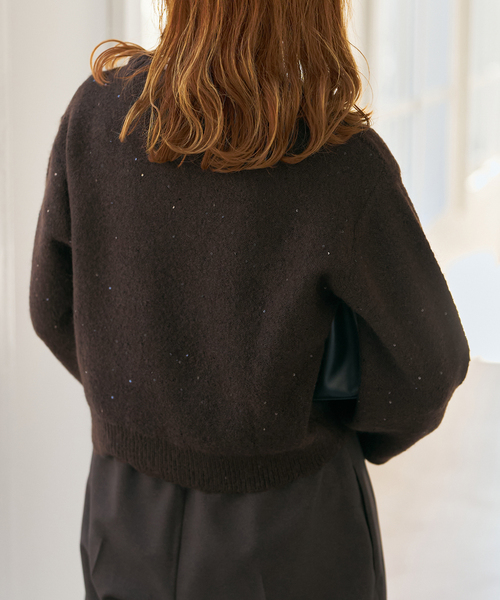 新色有り / 追加》スパンコールショート丈ニット（ニット/セーター