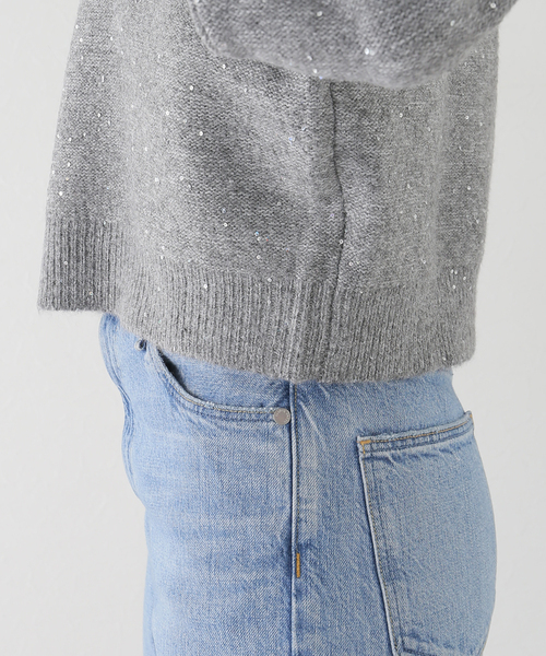 スピックアンドスパン　スパンコールショート丈ニット 新色有り / 追加》スパンコールショート丈ニット（ニット/セーター