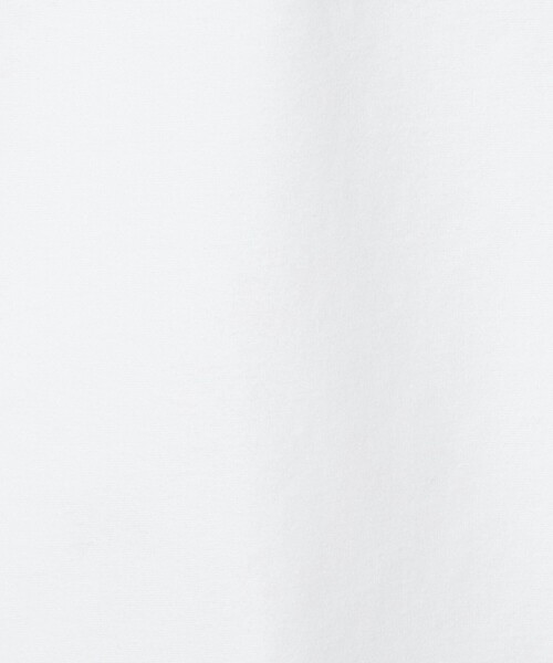 A DAY IN THE LIFE UNITED ARROWS(アデイインザライフユナイテッドアローズ)の「アクロマティック フラワープリント カットソー<A DAY IN THE LIFE>(Tシャツ/カットソー・メンズ・ダークグレー/ホワイト・M/L)」の15枚目の写真
