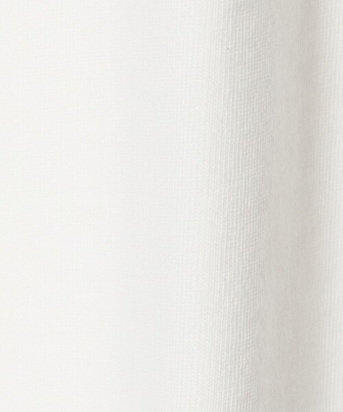 A DAY IN THE LIFE UNITED ARROWS(アデイインザライフユナイテッドアローズ)の「コットン フォトプリントTシャツ <A DAY IN THE LIFE>(Tシャツ/カットソー・レディース・その他1/その他2・FREE)」の13枚目の写真