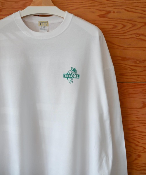 The Endless Summer(エンドレスサマー)の「【WEB / FLAG SHOP限定】TES CAL BOX LOGO LONG SLEEVE T /オーバーサイズ・ビッグシルエット・ロンT(Tシャツ/カットソー・メンズ・サンドベージュ/ラベンダー/ライトグレー/レッド/グリーン/ブルー・SMALL/MEDIUM/LARGE/X-LARGE)」の3枚目の写真