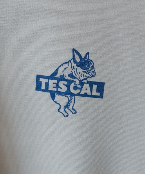 The Endless Summer(エンドレスサマー)の「【WEB / FLAG SHOP限定】TES CAL BOX LOGO LONG SLEEVE T /オーバーサイズ・ビッグシルエット・ロンT(Tシャツ/カットソー・メンズ・サンドベージュ/ラベンダー/ライトグレー/レッド/グリーン/ブルー・SMALL/MEDIUM/LARGE/X-LARGE)」の10枚目の写真