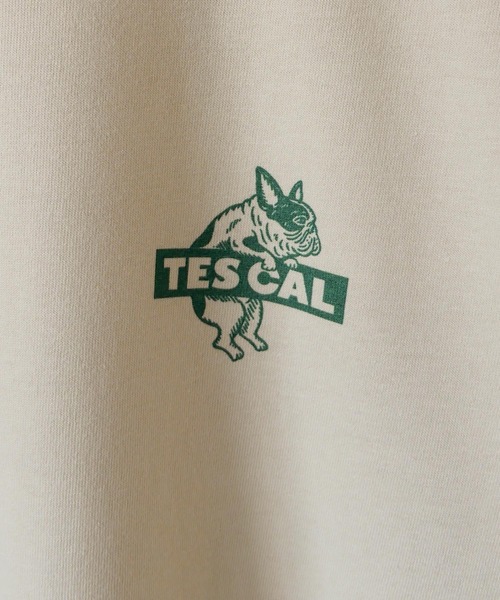 The Endless Summer(エンドレスサマー)の「【WEB / FLAG SHOP限定】TES CAL BOX LOGO LONG SLEEVE T /オーバーサイズ・ビッグシルエット・ロンT(Tシャツ/カットソー・メンズ・サンドベージュ/ラベンダー/ライトグレー/レッド/グリーン/ブルー・SMALL/MEDIUM/LARGE/X-LARGE)」の12枚目の写真