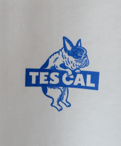 The Endless Summer(エンドレスサマー)の「【WEB / FLAG SHOP限定】TES CAL BOX LOGO LONG SLEEVE T /オーバーサイズ・ビッグシルエット・ロンT(Tシャツ/カットソー・メンズ・サンドベージュ/ラベンダー/ライトグレー/レッド/グリーン/ブルー・SMALL/MEDIUM/LARGE/X-LARGE)」の16枚目の写真
