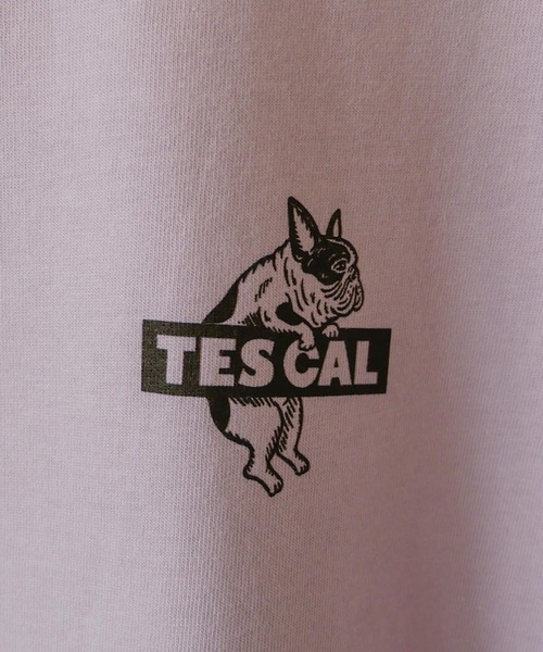 The Endless Summer(エンドレスサマー)の「【WEB / FLAG SHOP限定】TES CAL BOX LOGO LONG SLEEVE T /オーバーサイズ・ビッグシルエット・ロンT(Tシャツ/カットソー・メンズ・サンドベージュ/ラベンダー/ライトグレー/レッド/グリーン/ブルー・SMALL/MEDIUM/LARGE/X-LARGE)」の18枚目の写真