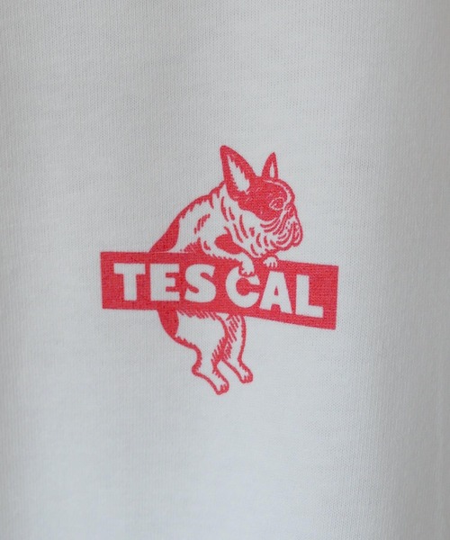 The Endless Summer(エンドレスサマー)の「【WEB / FLAG SHOP限定】TES CAL BOX LOGO LONG SLEEVE T /オーバーサイズ・ビッグシルエット・ロンT(Tシャツ/カットソー・メンズ・サンドベージュ/ラベンダー/ライトグレー/レッド/グリーン/ブルー・SMALL/MEDIUM/LARGE/X-LARGE)」の20枚目の写真