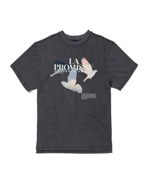 AOX(エーオーエックス)の「Promise Pigmented T-shirt (Gray)(Tシャツ/カットソー・メンズ・ブラック・FREE)」の3枚目の写真