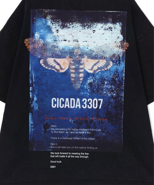 DANKE SCHON（ダンケシェーン）の「DankeSchon/ダンケシェーン/CHEMICAL S/S Tee CICADA（Tシャツ/カットソー・レディース・ブラック・L/M）」の6枚目の写真