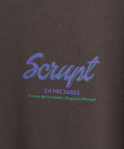 DISCOAT(ディスコート)の「【Enlude/WEB限定】サガラ刺繍ロゴTシャツ《ユニセックス》(Tシャツ/カットソー・レディース・チャコールグレー/ライトベージュ/ライトグレー・FREE)」の22枚目の写真