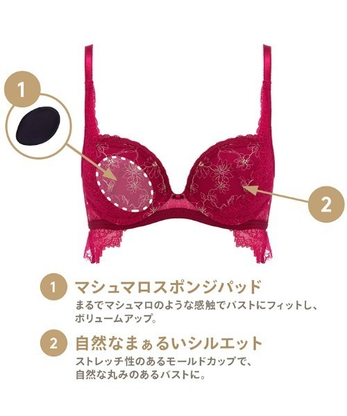 ❗️トリトリグモ　タイワンアブラゼミ　他　昆虫　標本セット✨ Daily AMOSTYLE 寄せブラ ブラ＆ショーツセット キューティー