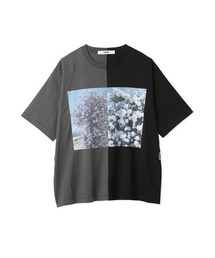 SHIROMA フリル デザイン ファー カットソー Tシャツ フリルデザイン カットソー（98-47CG41-204）｜コムサイズム（COMME CA