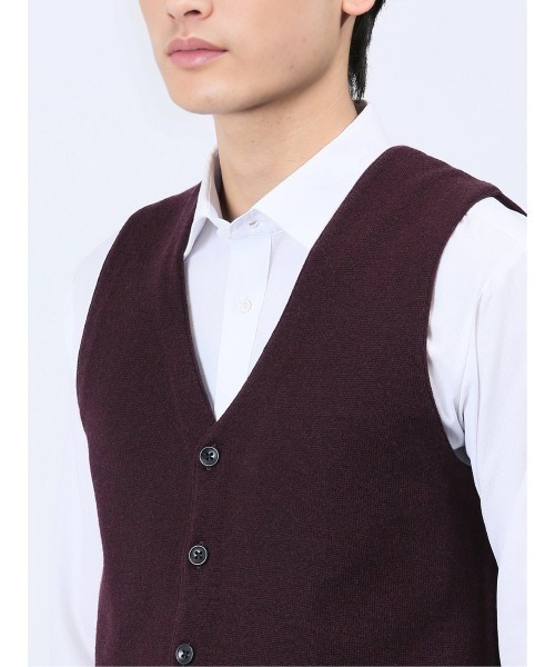 Alexander Julian（アレキサンダージュリアン）の「アレキサンダージュリアン ウォッシャブル ウール混ソリッド ニットジレ（ベスト・メンズ・ブラック/グレー系その他2/ワインレッド・LARGE/MEDIUM/X-LARGE）」の9枚目の写真