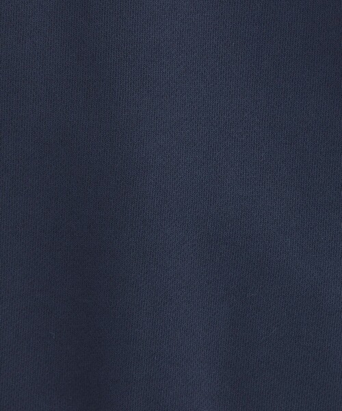 green label relaxing（グリーンレーベルリラクシング）の「ロゴ スウェット プルオーバー（スウェット・レディース・ネイビー/ホワイト/グレー・FREE）」の11枚目の写真