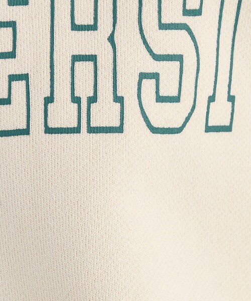 green label relaxing（グリーンレーベルリラクシング）の「ロゴ スウェット プルオーバー（スウェット・レディース・ネイビー/ホワイト/グレー・FREE）」の12枚目の写真