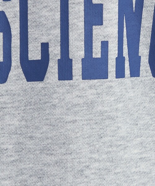 green label relaxing（グリーンレーベルリラクシング）の「ロゴ スウェット プルオーバー（スウェット・レディース・ネイビー/ホワイト/グレー・FREE）」の13枚目の写真