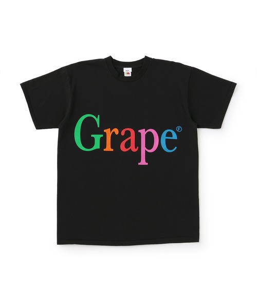 FRUIT OF THE LOOM - 山嵐　　Tシャツ byeA. NOT APPLE TEE - Fruit of the Loom Edition（Tシャツ